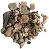 DINOSAURS ROCK Bulk Genuine Fossil Mix - 1/2 Pound - 20+ specimens view 1