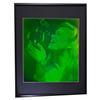 Bubble Girl (Pulse Portrait) 3D Collectible Hologram Picture PHOTOPOLYMER Matted & Framed view 1
