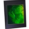 Bubble Girl (Pulse Portrait) 3D Collectible Hologram Picture PHOTOPOLYMER Matted & Framed view 2