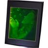 Bubble Girl (Pulse Portrait) 3D Collectible Hologram Picture PHOTOPOLYMER Matted & Framed view 3