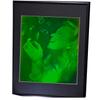 Bubble Girl (Pulse Portrait) 3D Collectible Hologram Picture PHOTOPOLYMER Matted & Framed view 4