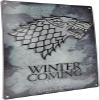 ABYstyle - Game of Thrones - Metal Plate Stark (28x38) view 3
