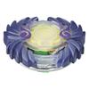Beyblade Burst Single Top Pack Horusood view 1