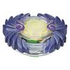 Beyblade Burst Single Top Pack Horusood view 3