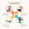 2 Pack Wobble Cushion Balance Disc - Wiggle Seat & Balance Pad for Exercise, Physical Therapy, Sensory Kids - Stability Disc, Dog Balance Disc view 4
