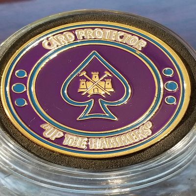 20/20 VetSight Up The Hammer's Card Protector