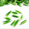 100 Spring Onion Vegetable Dollhouse Miniature Food Wholesale Supply Charms 3945 view 2