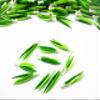 100 Spring Onion Vegetable Dollhouse Miniature Food Wholesale Supply Charms 3945 view 3