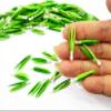 100 Spring Onion Vegetable Dollhouse Miniature Food Wholesale Supply Charms 3945 view 4