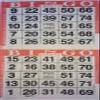 American Games INC 3000 Paper Bingo Cards-2 Cards per sheet-1500 Sheets [Choose Color Below] (Red) view 1