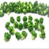 100 Broccoli Vegetable Dollhouse Miniature Food Wholesale Supply Charms 4076 view 1