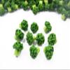 100 Broccoli Vegetable Dollhouse Miniature Food Wholesale Supply Charms 4076 view 2