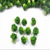 100 Broccoli Vegetable Dollhouse Miniature Food Wholesale Supply Charms 4076 view 3