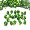 100 Broccoli Vegetable Dollhouse Miniature Food Wholesale Supply Charms 4076 view 4