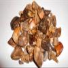 Rock Tumbler Gem Refill Kit Cameron, Texas Petrified Wood Tumbling Rough 8oz view 4