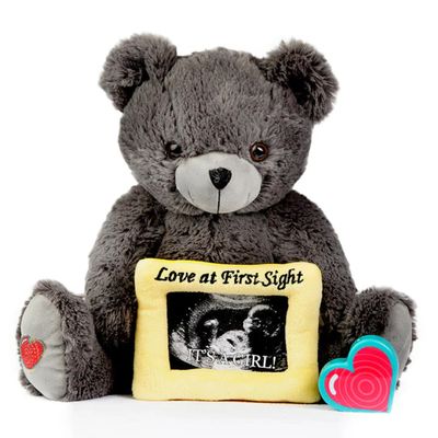 My Babys Heartbeat Bear, 20 Second Re-Recordable Voice Recorder Plush Keepsake, 3x5 Ultrasound Frame for Babys Heartbeat Memory, Pregnancy (Not a Medical Device), Love Gray