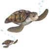 Sea Turtle Wall Decal ~Ocean Undersea Animal Tortoise Wall Sticker for Kids Room Decor, Boys Girls Toddler Baby Nursery Bedroom, Playroom, Bathroom, Vinyl Art Gift view 1