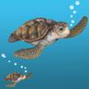 Sea Turtle Wall Decal ~Ocean Undersea Animal Tortoise Wall Sticker for Kids Room Decor, Boys Girls Toddler Baby Nursery Bedroom, Playroom, Bathroom, Vinyl Art Gift view 2