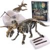 Dig & Discover Dino Triceratops Dinosaur Skeleton 3D Fossil Bones Excavation, Science Educational Toy Kit for Kids, Children view 1