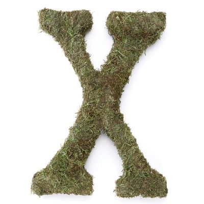 Lillian Rose Moss Letter for Home Decor, 15-Inch, Monogram X,MG600 X