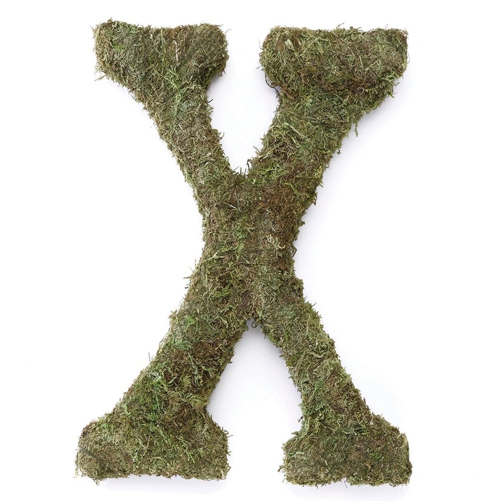 Lillian Rose Moss Letter for Home Decor, 15-Inch, Monogram X,MG600 X
