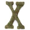 Lillian Rose Moss Letter for Home Decor, 15-Inch, Monogram X,MG600 X view 1