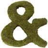 Lillian Rose Moss Letter for Home Decor, 15-Inch, Monogram X,MG600 X view 2