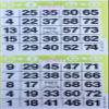 American Games INC 3000 Paper Bingo Cards-2 Cards per sheet-1500 Sheets [Choose Color Below] (Lime Green) view 1