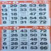 American Games INC 3000 Paper Bingo Cards-2 Cards per sheet-1500 Sheets [Choose Color Below] (Orange) view 1