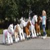 Ufree Large Mechanical Rocking Horse Toy, Ride on Bounce up and Down and Move, 44 inch for Children 6 to Adult (Black Mane and Tail) view 4