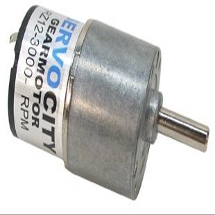 1 RPM Gear Motor