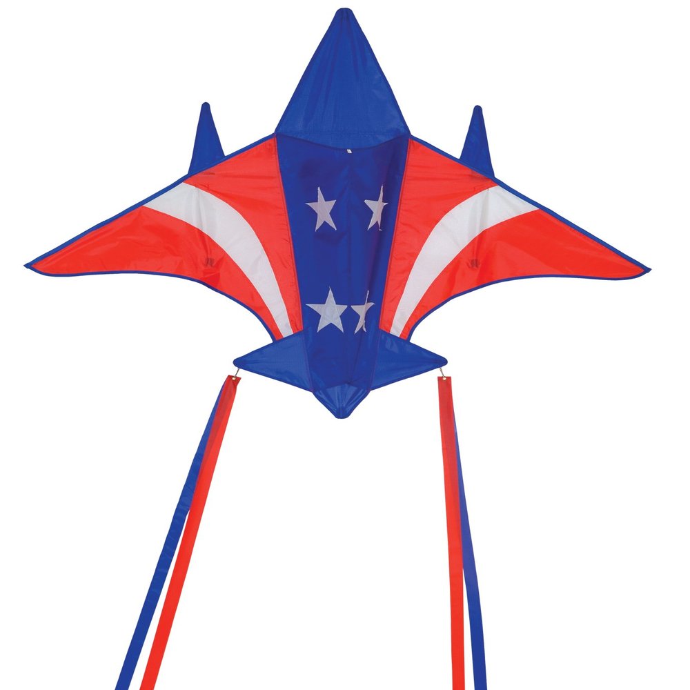 In the Breeze 3156  Patriot Jet Kite  Easy-Flying Plane Kite with Color-Coordinated Streamer Tails