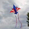 In the Breeze 3156  Patriot Jet Kite  Easy-Flying Plane Kite with Color-Coordinated Streamer Tails view 2