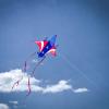 In the Breeze 3156  Patriot Jet Kite  Easy-Flying Plane Kite with Color-Coordinated Streamer Tails view 3
