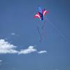 In the Breeze 3156  Patriot Jet Kite  Easy-Flying Plane Kite with Color-Coordinated Streamer Tails view 4