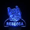 ADVPRO ws1078-tm Pit Bull Dog Personalized Night Light Name Day/Night Sensor LED Sign view 1