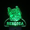 ADVPRO ws1078-tm Pit Bull Dog Personalized Night Light Name Day/Night Sensor LED Sign view 3