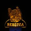 ADVPRO ws1078-tm Pit Bull Dog Personalized Night Light Name Day/Night Sensor LED Sign view 4