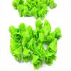 10 Loose Green Lettuce Salad Vegetable Miniature 1:6 12226 view 4