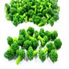 1:6 10 Loose Green Broccoli Salad Vegetable Miniature 12227 view 1