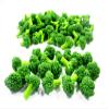 1:6 10 Loose Green Broccoli Salad Vegetable Miniature 12227 view 4
