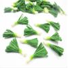 10 Loose Leek Vegetables 1:6 Miniatures Food Kitchen 12229 view 2