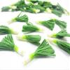 10 Loose Leek Vegetables 1:6 Miniatures Food Kitchen 12229 view 3