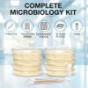 Evviva Sciences Microbiology Science Project Kit, Pre-Poured Agar Plates for Students, Agar Petri Dishes to Learn Microbiology, with Educational Experiment eBook view 2