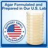 Evviva Sciences Microbiology Science Project Kit, Pre-Poured Agar Plates for Students, Agar Petri Dishes to Learn Microbiology, with Educational Experiment eBook view 4
