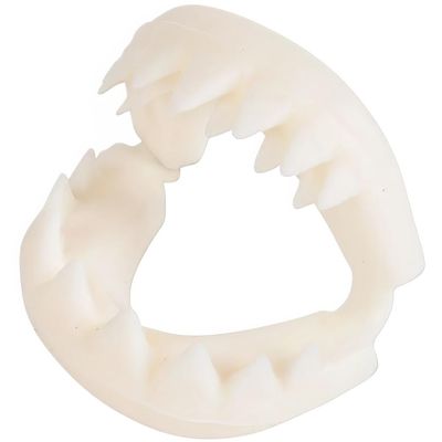Rhode Island Novelty Great White Shark Teeth