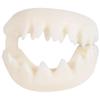 Rhode Island Novelty Great White Shark Teeth view 2