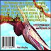 Fliptomania Dinosaur Animation Flipbooks 3 Pack view 2